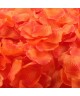 1000 Pétales de rose soie (rouge ou rose)