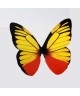 Papillons déco X 50